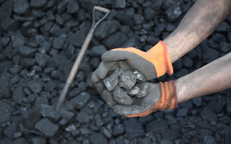 Why do dogs eat coal? 2 why do dogs eat coal