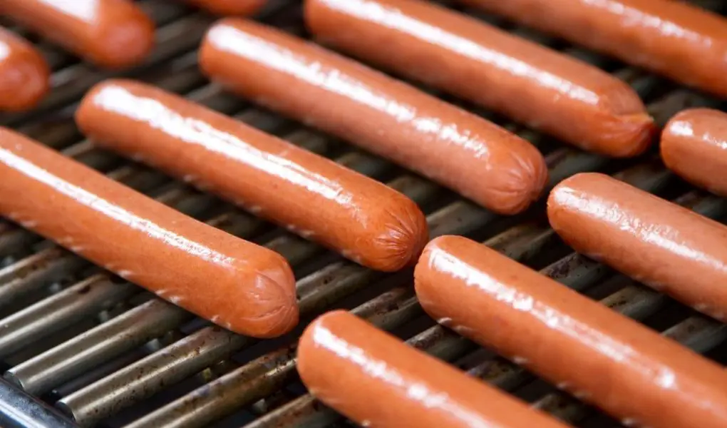 can dogs eat hot dogs