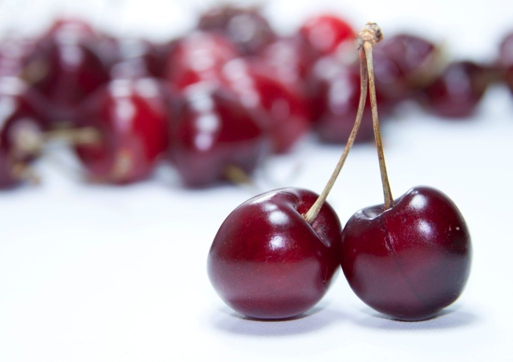 Can dogs eat cherries?