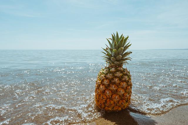 Can dogs eat pineapple? 8 can dogs eat pineapple