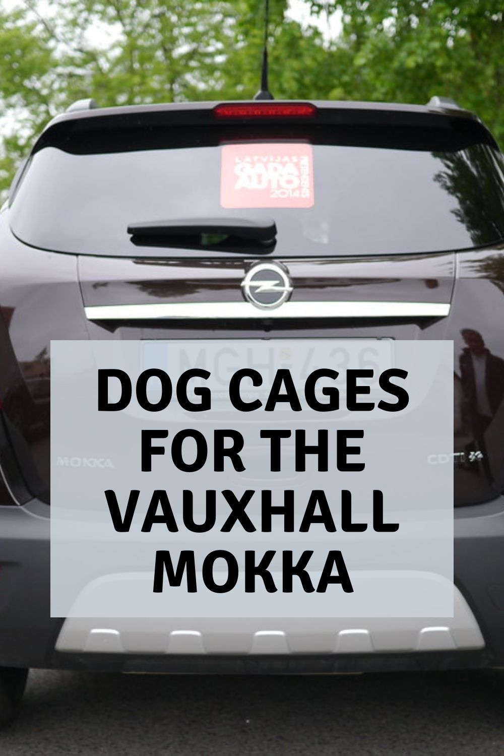 Dog cages for the Vauxhall Mokka Easy Spaniel Training