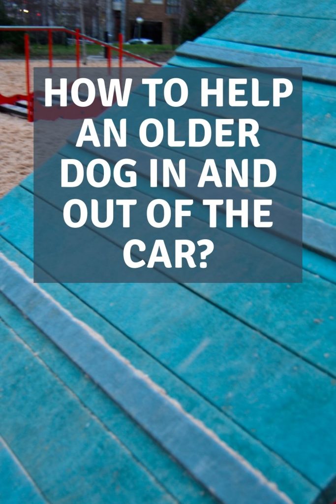 How to help an older dog in and out of the car