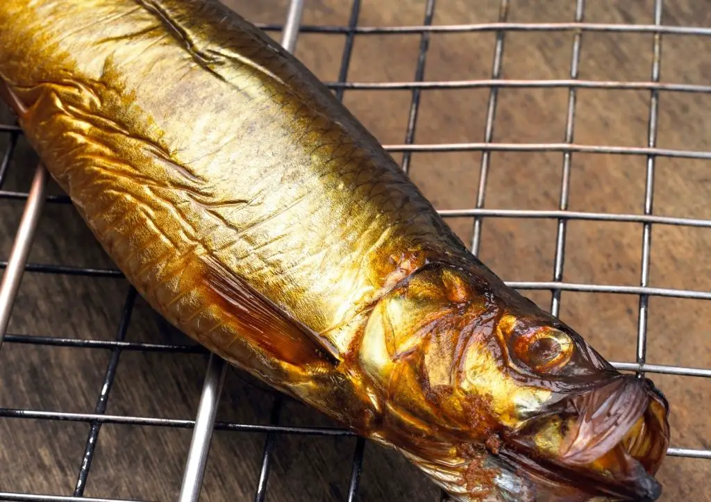 can dogs eat kippers?