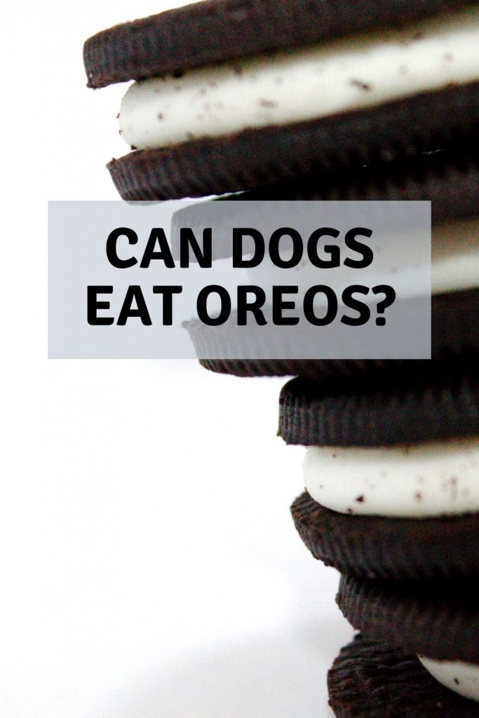 can dogs eat oreos