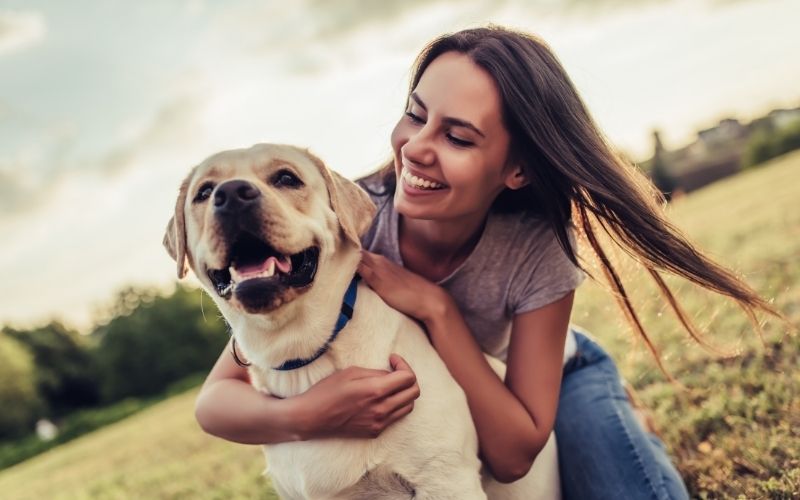 How do you train a dog for beginners? 13 how do you train a dog for beginners