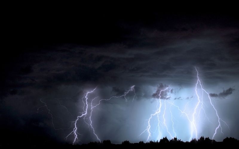 Can dogs sense lightning?