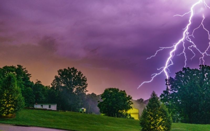 Can dogs sense lightning? 9 Can dogs sense lightning?