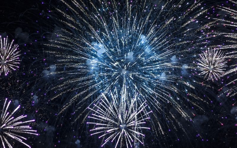 What to do if your dog is afraid of fireworks