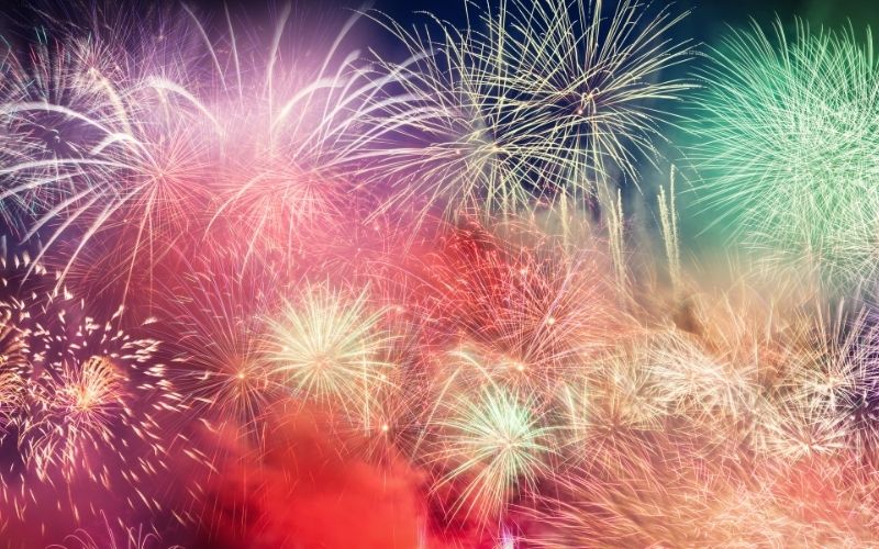 What to do if your dog is afraid of fireworks 2 What to do if your dog is afraid of fireworks