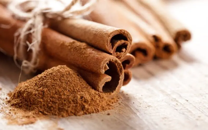 Can dogs have cinnamon?