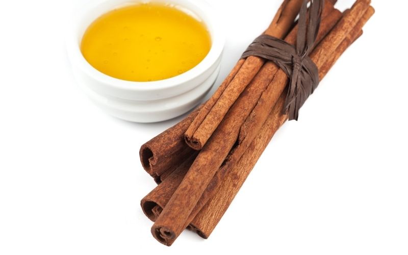 can dogs have cinnamon