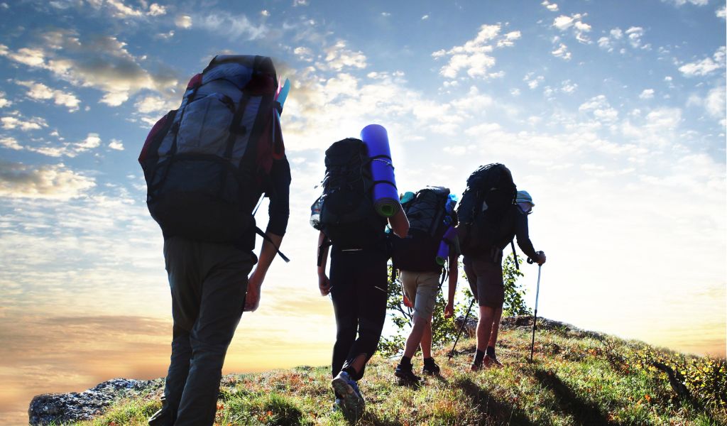 Can Cavalier King Charles spaniels go hiking?