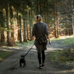 Do dogs get bored walking the same route?