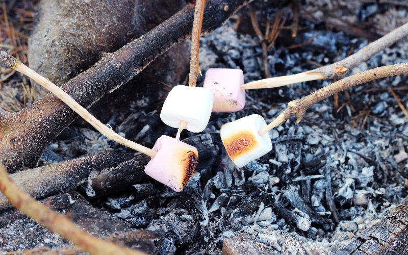 can dogs eat marshmallows