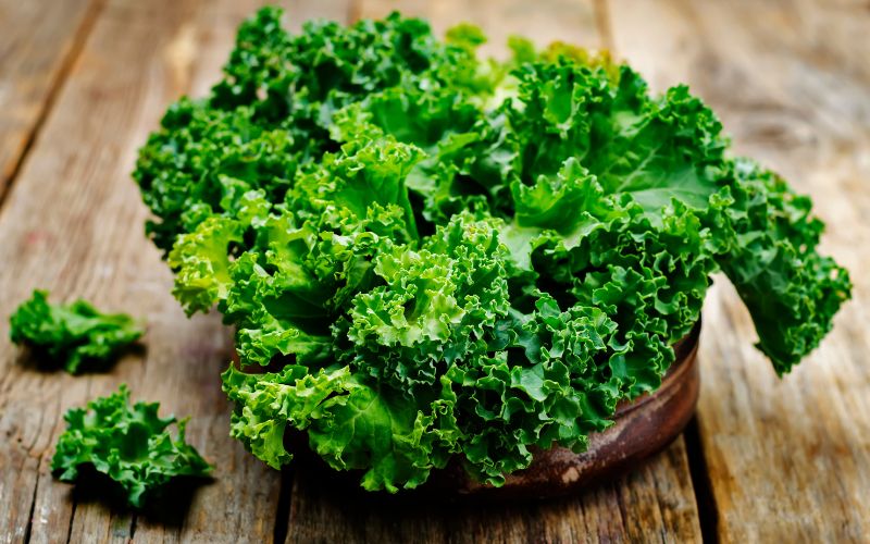Is Kale good for dogs?