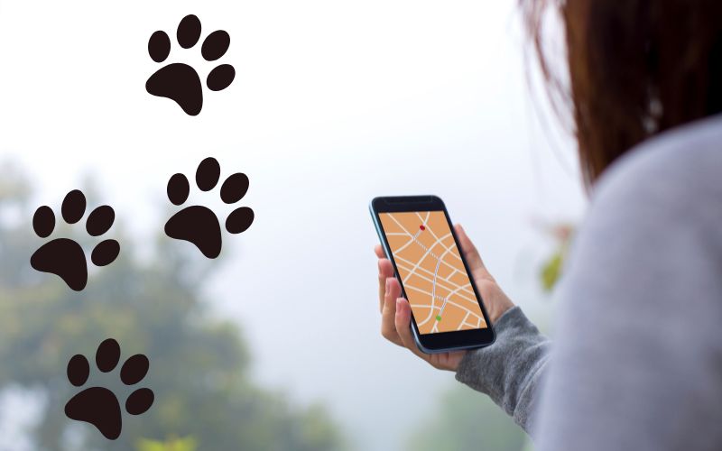 The Best GPS Dog Tracking System on the Market