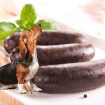 Can a dog eat black pudding?