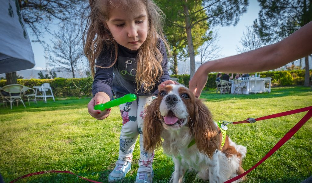 10 health concerns that are common in Cavaliers