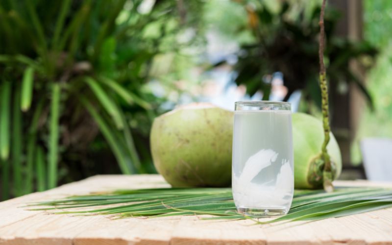 Can dogs drink coconut water? 2 can dogs drink coconut water