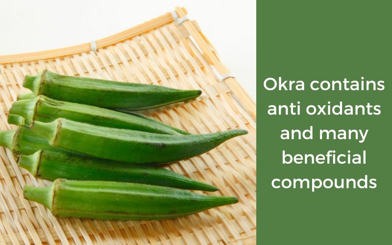 Can dogs eat okra?