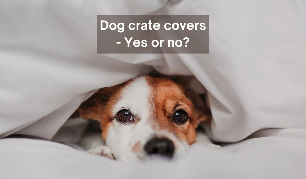 Does putting a blanket over a dog crate help?