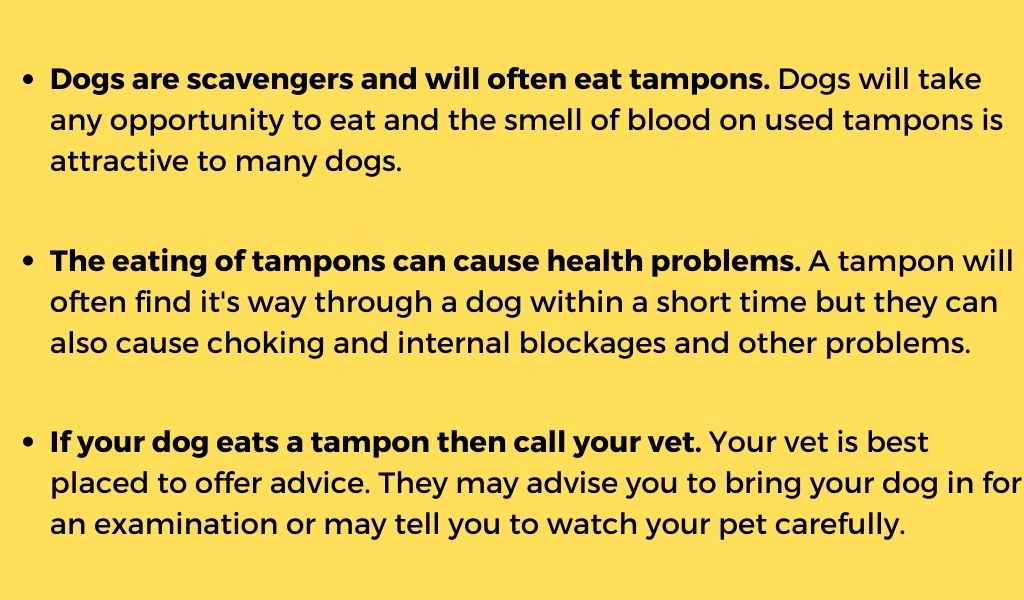 what to do if your dog eats a tampon