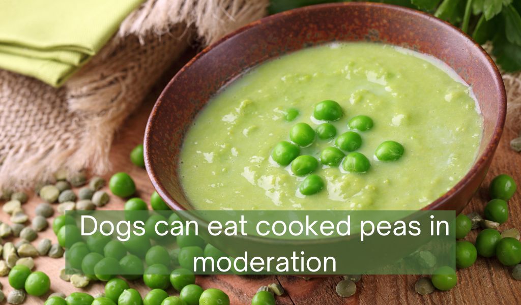 can dogs eat peas