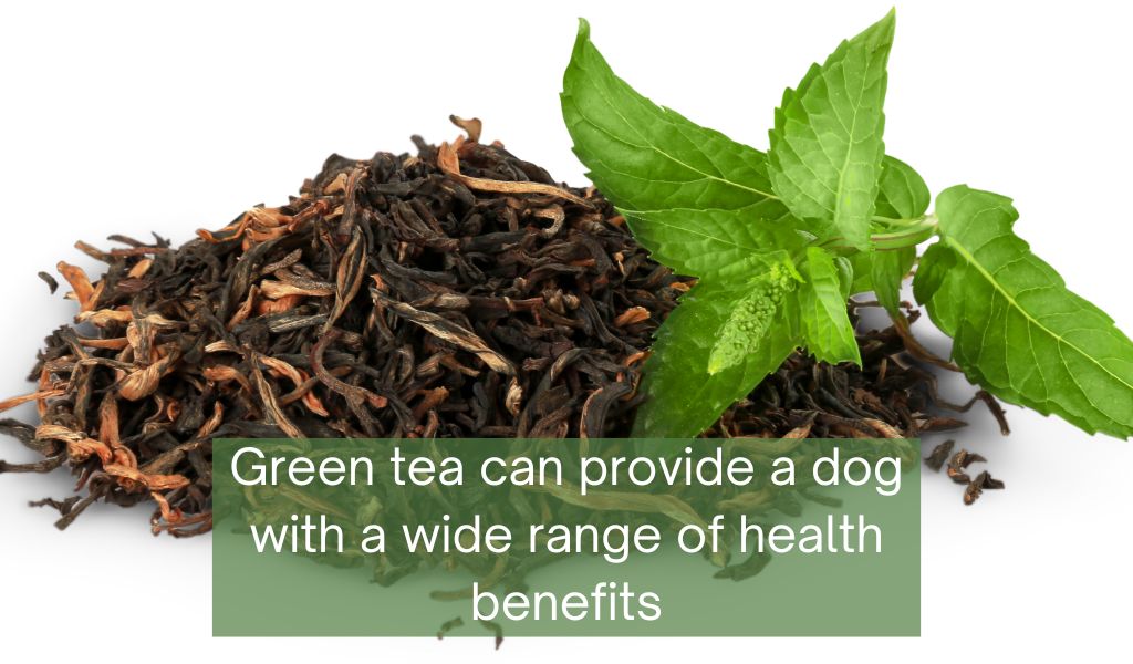 Is green tea good for dogs?