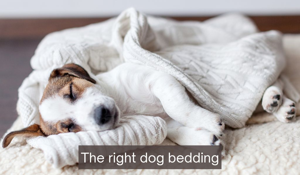 How to choose the best bedding for dog hair