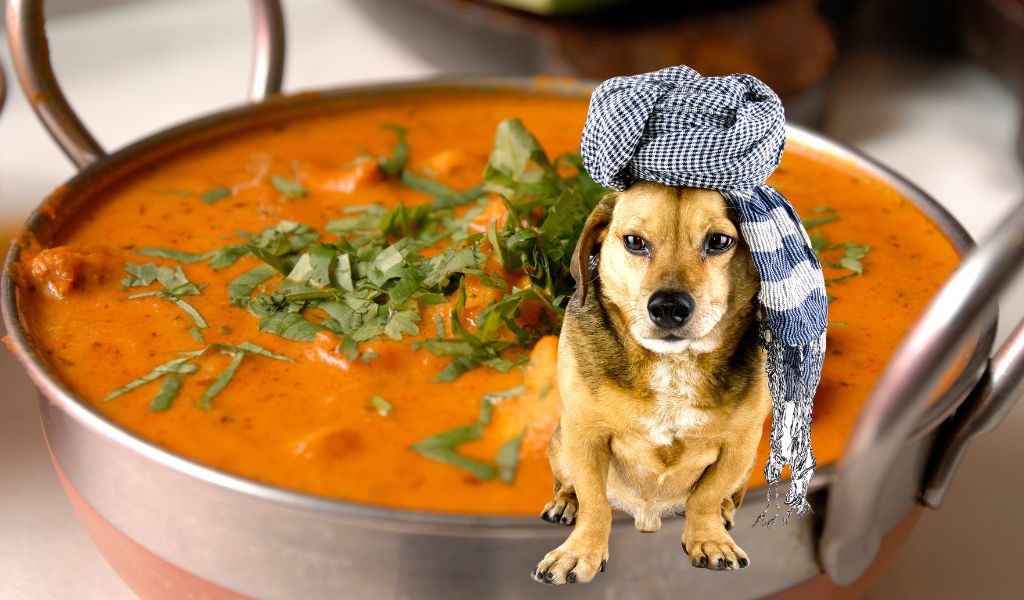 Oh No! My dog ate spicy food! Now what?