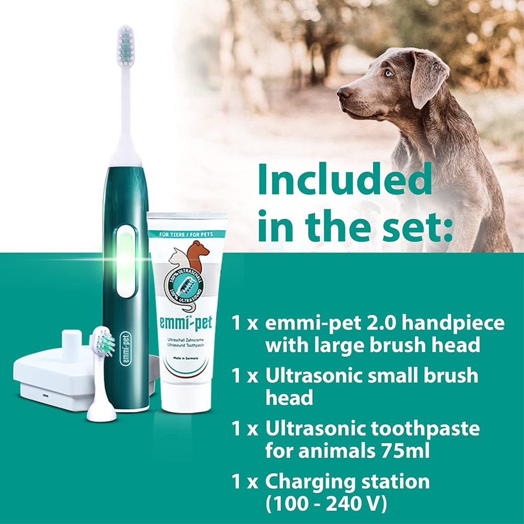 emmi pet dog dental care