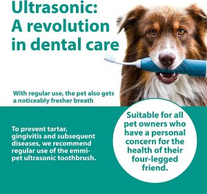 Why you should consider the emmi®-pet 2.0 Basic Dental Care Set for your dog