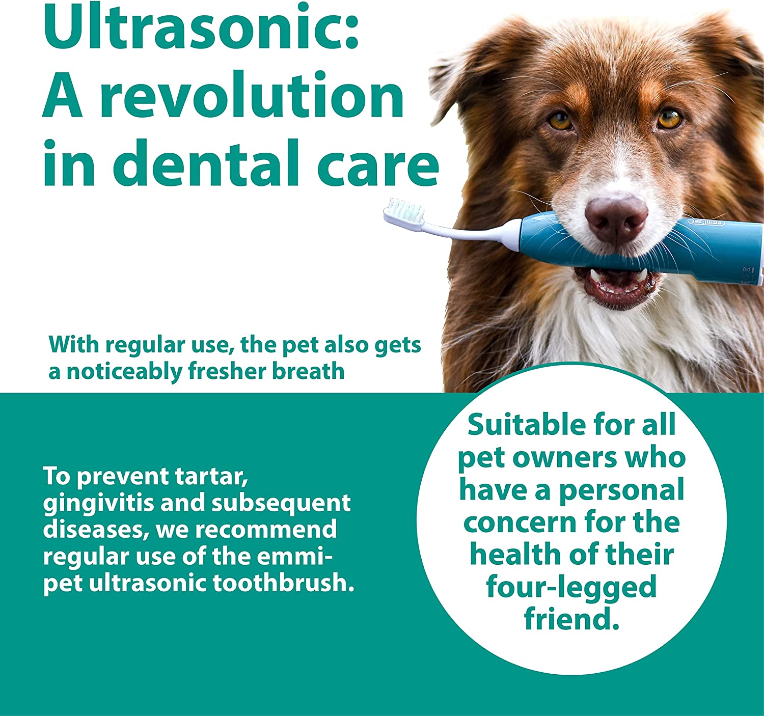 Why you should consider the emmi®-pet 2.0 Basic Dental Care Set for your dog