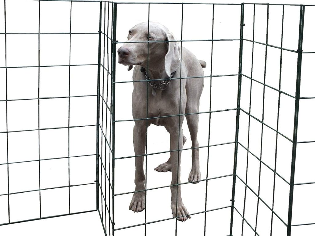 The best portable, flexible, foldable dog fence on the market