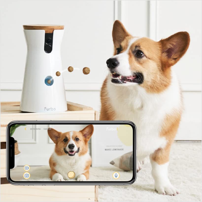 The Furbo dog camera review: An essential piece of technology for dog owners 6 furbo dog camera