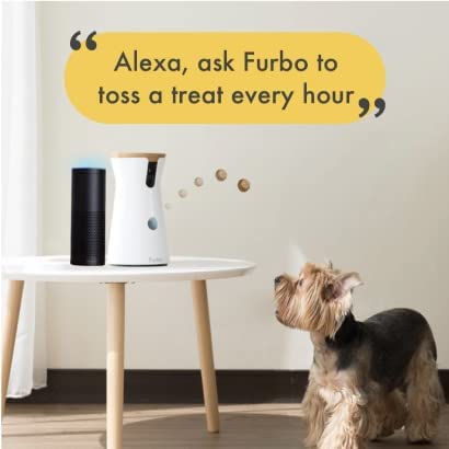 The Furbo dog camera review: An essential piece of technology for dog owners 2 furbo dog camera