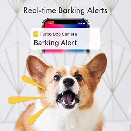 The Furbo dog camera review: An essential piece of technology for dog owners 3 furbo dog camera