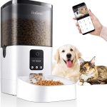 The Balimo LENA 4L Automatic Pet Feeder: Review