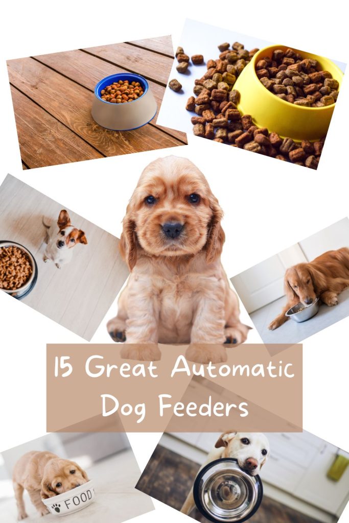 15 Quality Automatic Dog Feeders 3 dog food montage