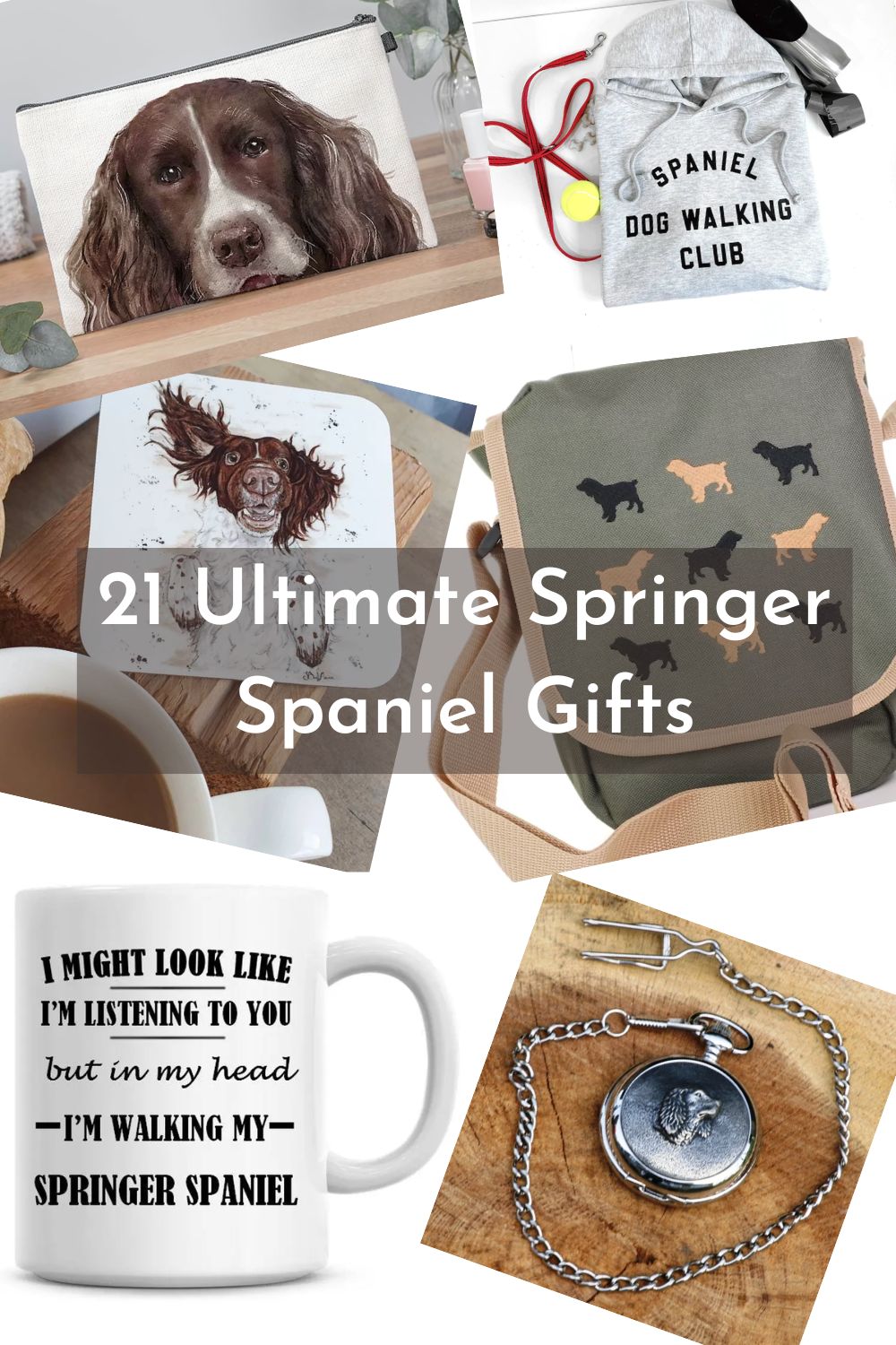 21 English Springer Spaniel Gift Ideas