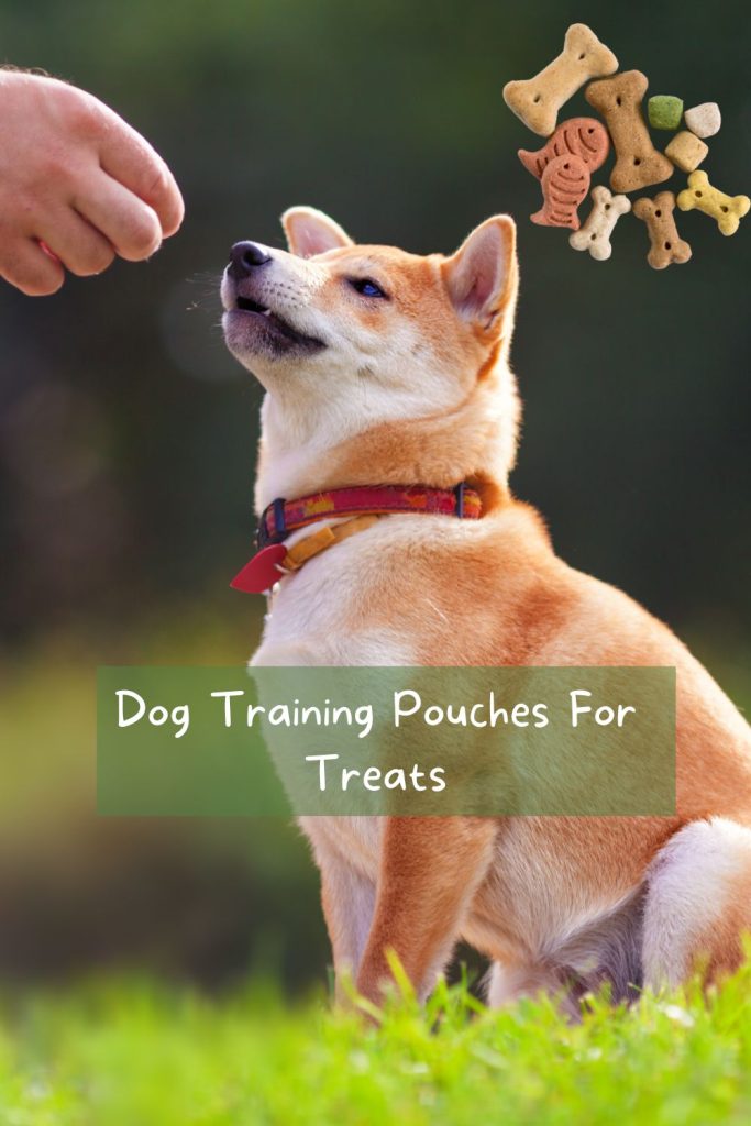 Dog Training Pouches For Treats