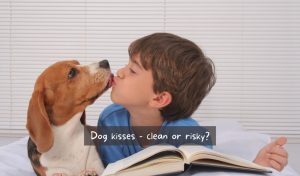are dog's mouths cleaner than humans'
