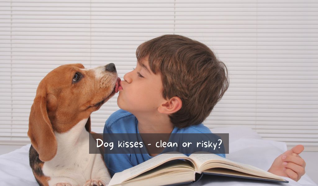 5 reasons why dogs’ mouths are actually cleaner than humans’