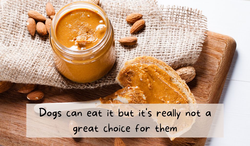 Can dogs have almond butter? 8 bowl of almond butter