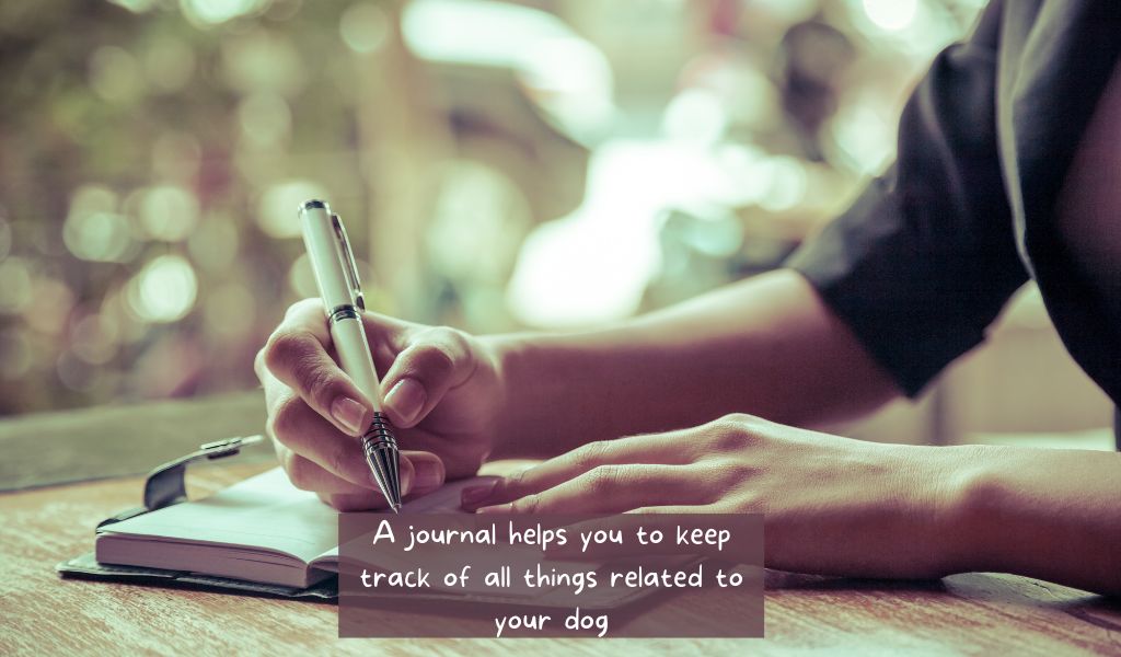 Organizing your dog care with a bullet journal 8 Organizing your dog care with a bullet journal