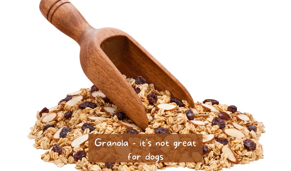 can a dog have granola
