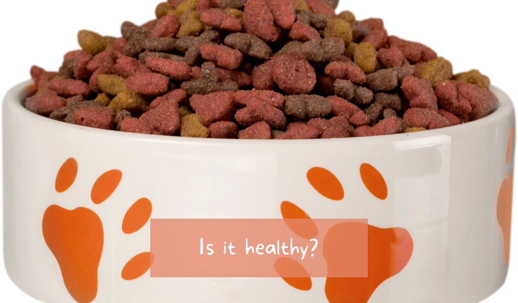 bowl of dog food