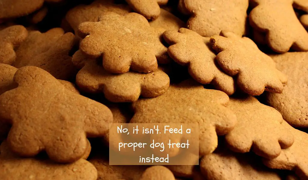 Is Gingerbread safe for dogs?
