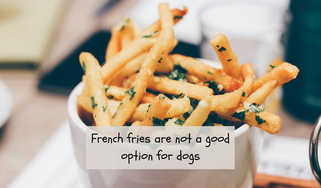 can dogs eat french fries