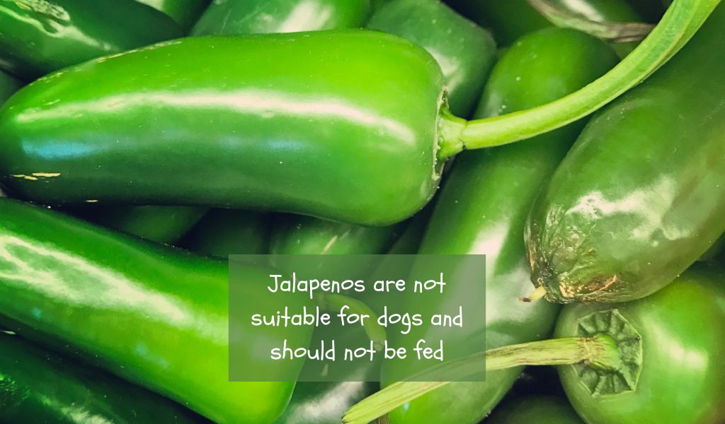 can dogs eat jalapeno